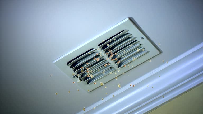 Home Air Vent Cleaning in NV